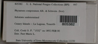 Image Associated With the Occurrence
